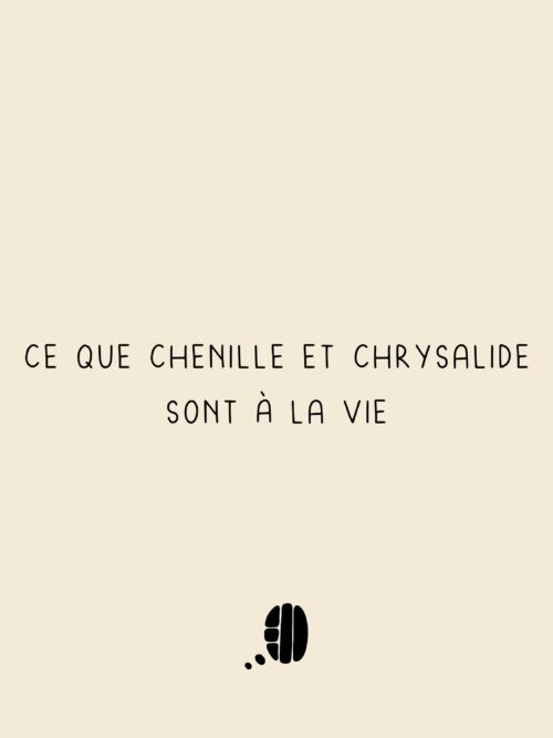 Chrysalide