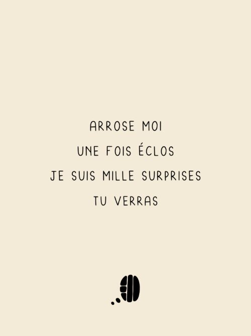 Mille surprises